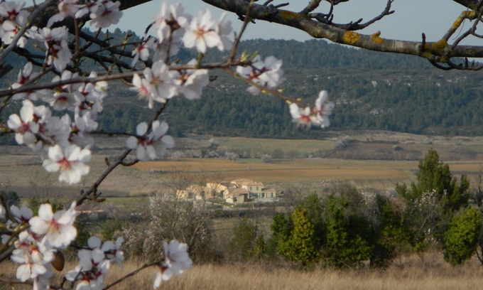 Tournissan Bed & Breakfast | La petite Auberge - "Chambre de Violette" 1 - 2 people in a haven of peace