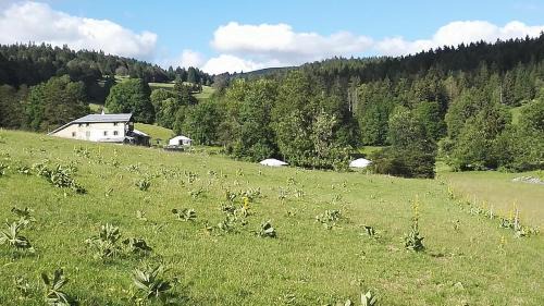 Rochejean Other | La Petite Echelle