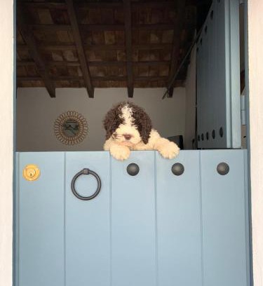 Bornos House | La Puerta Azul