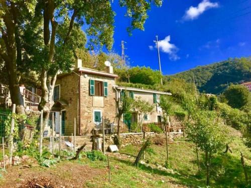 Vernazza House | La quiete accesa