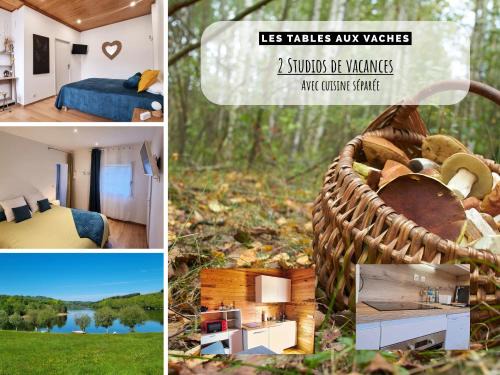 La Salvetat-sur-Agout House | La Salvetat - Studios de vacances - Les Tables Aux Vaches