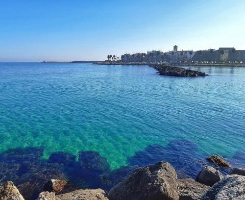 Mola di Bari Apartment | La stradina