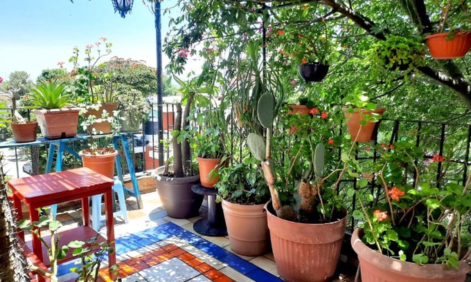 Oaxaca Apartment | La Terraza del Pochote