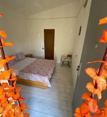 Vadu House | La Valentina si Gabriel