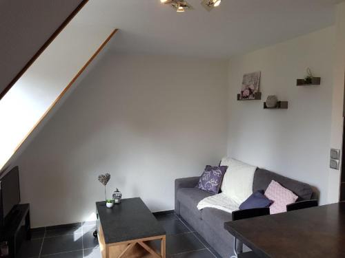 Munster Apartment | la verte vallée 2