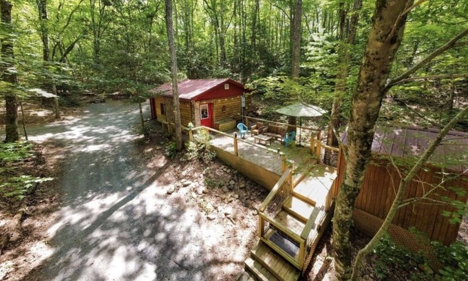 Murphy Cabin | Ladybird's Lodge - dog friendly