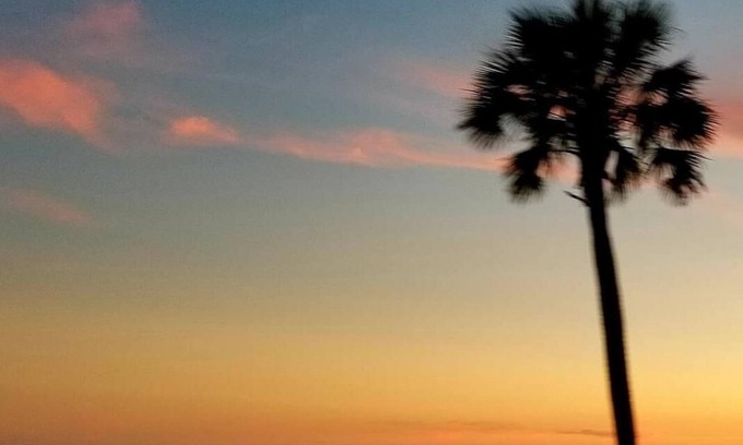 Franklin County Condo | Lagniappe "a little something extra" on the Gulf
