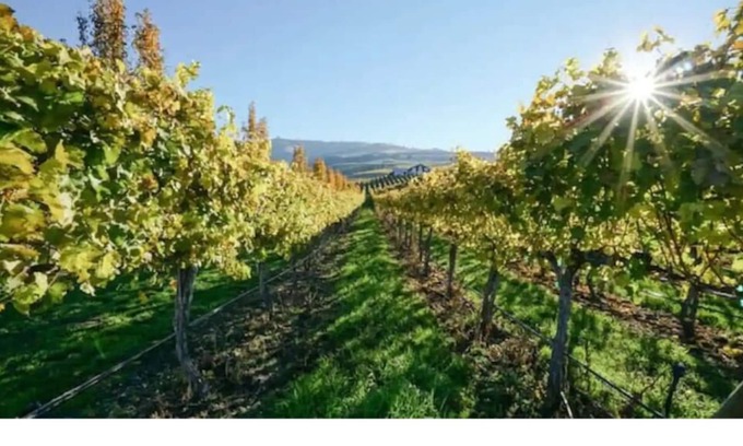 Manson Apartment | Lake Chelan/Manson Studio #3 w/valley & mtn views