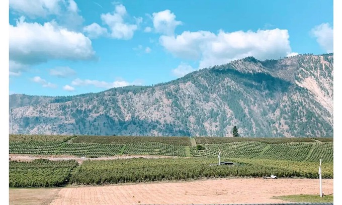 Manson Apartment | Lake Chelan/Manson Studio #1 w/valley & mtn views