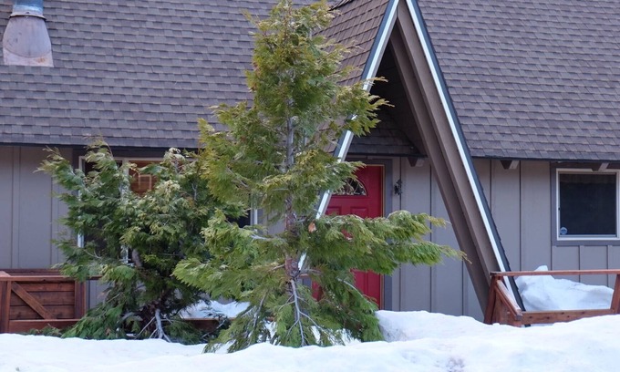 Al Tahoe Cabin | Lake Tahoe gem, 8 minutes to Heavenly, 3 blocks to the Lake and Regan Park
