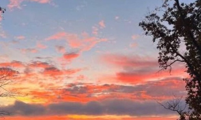 Groveoak Cabin | Lakefront 2BR 2BA cabin,Guntersville Lake iScottsboro, AL with spectacular views