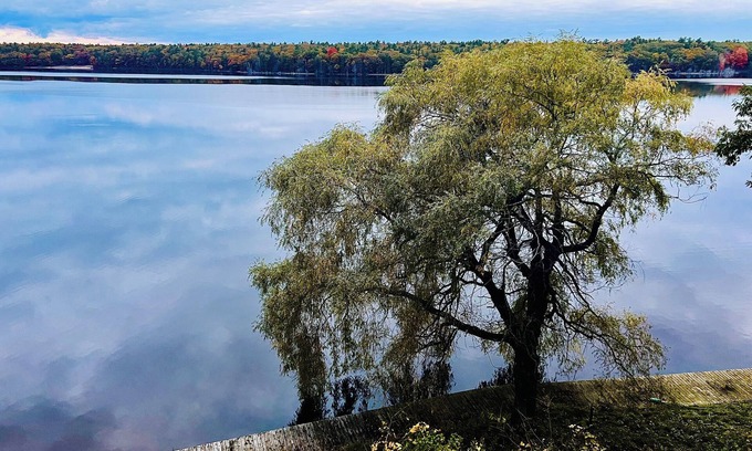 Whitehall House | Lakeside Retreat - Peak Fall Colors, Fire Pit, Hiking, Near Lake MI