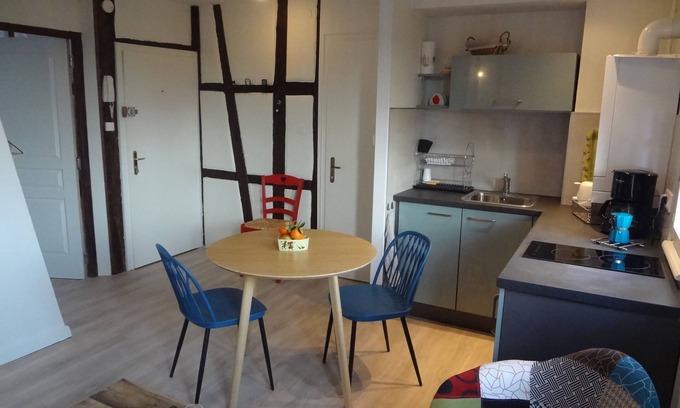 Colmar Centre Ville Apartment | "LANDBeautiful beamed apartment in the historic center of Colmar's "Little Venice".
