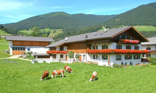 Taisten Apartment | Landhof