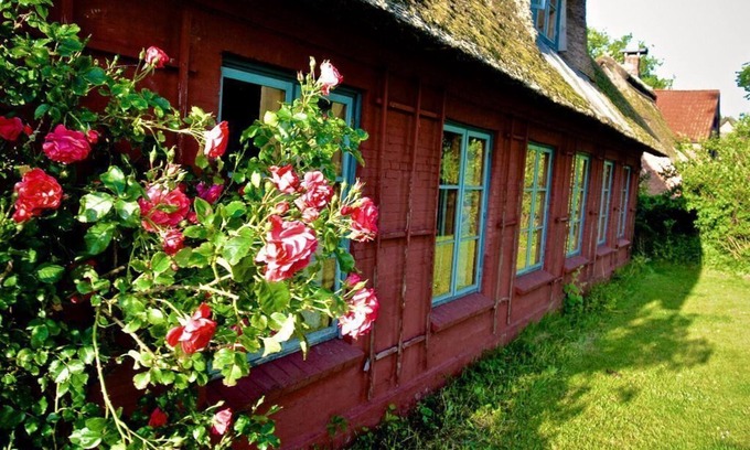 Falshoft Apartment | Landwohnung in Nieby 300m von der Ostsee Entfernt!