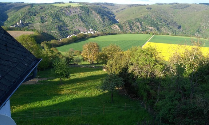 Mainz-Bingen Apartment | Large apartment with dream view and terrace for 9 P at Rheinhöhe