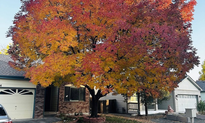 Longmont Apartment | Large basement apartment 1500sq ft, private living room, bathroom & kitchenette