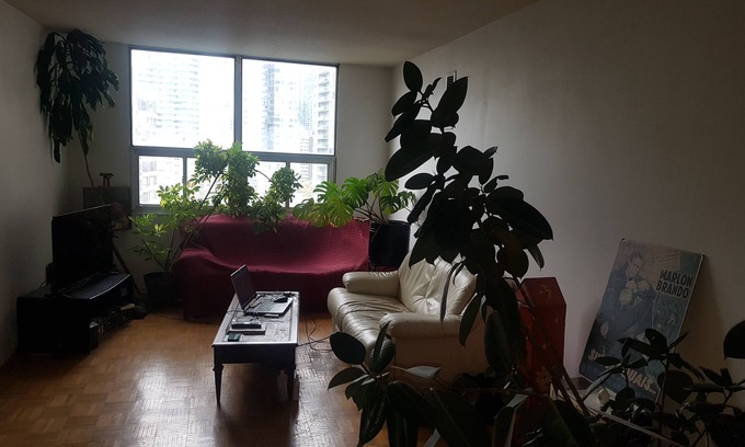 Cabbagetown Apartment | Large, bright apartment downtown near Maple Leaf Gardens. Pet-Friendly