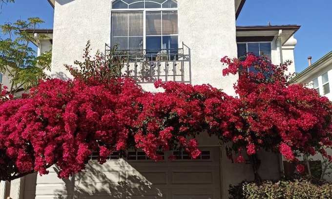 North Hollywood House | Large Clean Home in Safe Gated Community