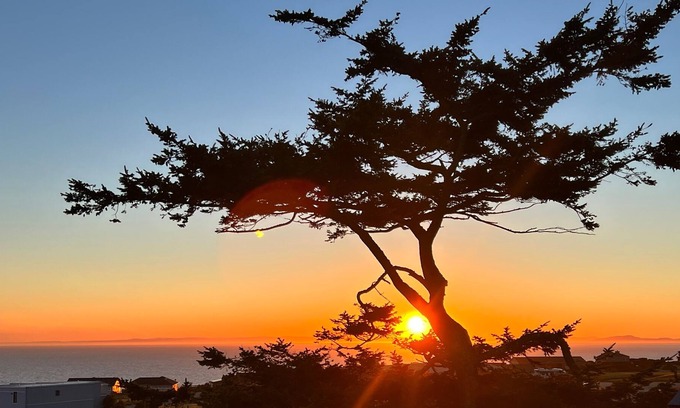 Oak Harbor House | Large Contemporary View Home, Spectacular Sunsets, Shipping Lanes, Fire pit!