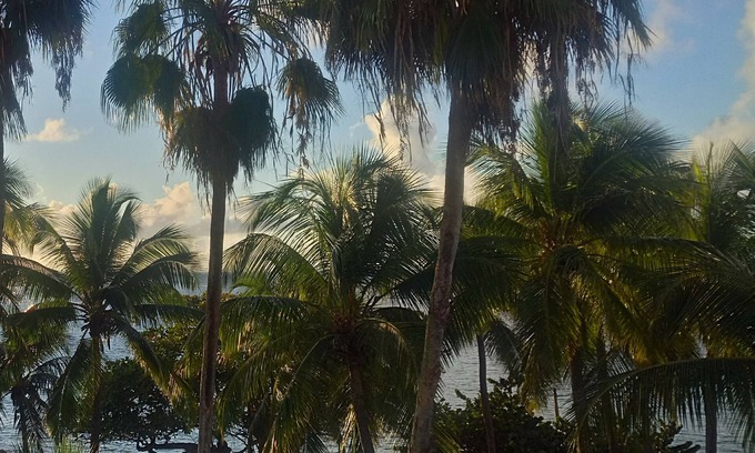 Pointe de la verdure Apartment | Large studio, sea access, cistern, downtown Gosier