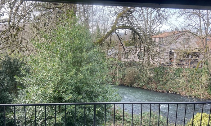 Central Area Apartment | LARGE Upstairs 2 Bed 2 Bath condo Creek View!