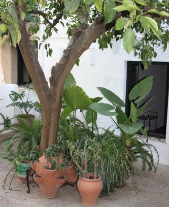 Higuera de la Sierra House | Las Jimenas