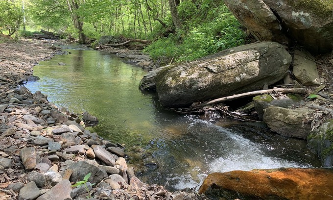 Boone Cottage | Late checkout! modern cottage with creek on 4 acres, fire pit