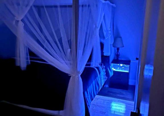 Cypress Hills House | Latisha luxury place
