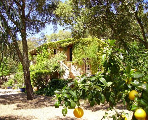 Sainte-Maxime Bed & Breakfast | Le Bastidon Saint-Michel