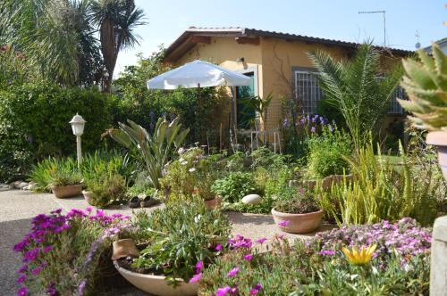 Zona XXXIV Casal Palocco House | Le Cicale