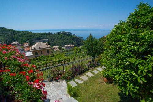 Camogli Bed & Breakfast | Le Clementine B&B