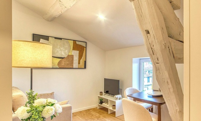 5th Arrondissement Apartment | Le Cocon - Appart climatisé - cœur de Lyon 5ème
