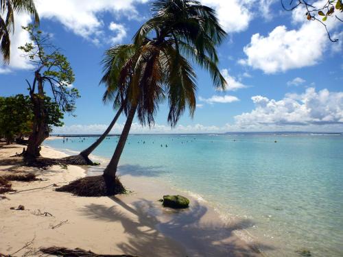 Sainte-Anne Apartment | Le Lagon d'Anolis