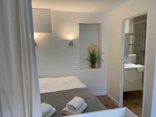 Villefranche-sur-Saone Apartment | Le Minimaliste, Appartement Hyper Centre Climatisé