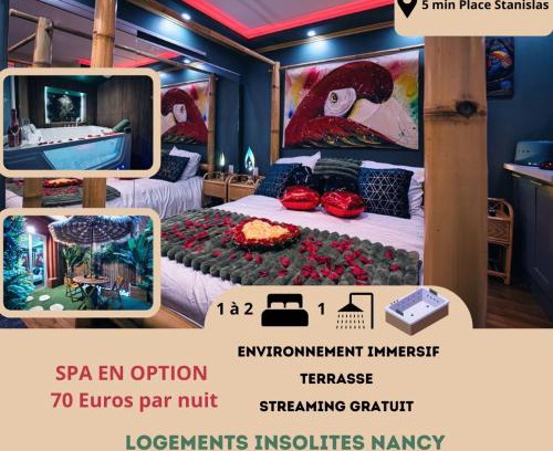 Saint Nicolas - Charles III - Ville vieille - Trois Maisons - Leopold Apartment | Le Petit Sensual Bali Spa Option 300m Place Stanislas
