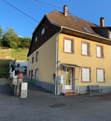 Sainte-Marie-aux-Mines Apartment | Le petit St Blaise