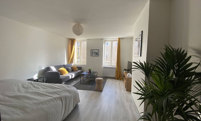 Poincare - Foch - Anatole France - Croix de Bourgogne Apartment | LE POINCARE APARTMENT 1min from the train station