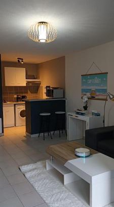 Lanton Apartment | Le refuge du Bassin - T2 Charme et confort