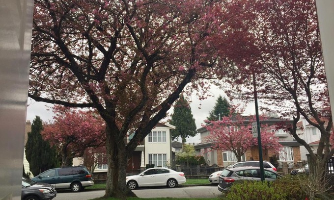 Sunset House | Lee home