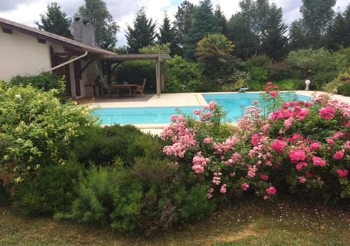 Sanguinet House | Les Oliviers
