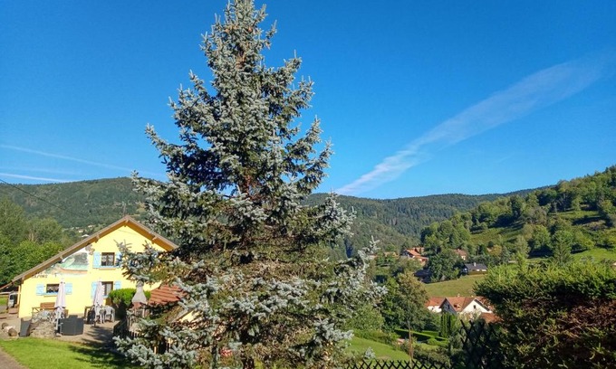 Bussang Bed & Breakfast | Les Sapins