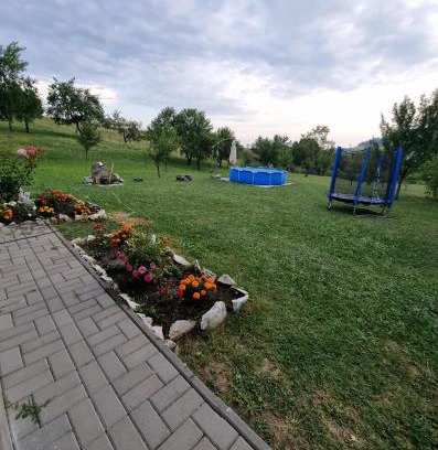 Dealu House | Levender House