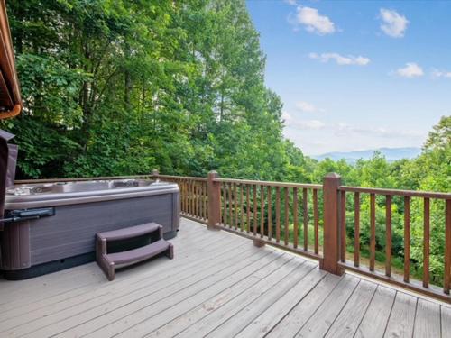 Mineral Bluff House | License 2 Chill - Mountain views of GA TN and NC