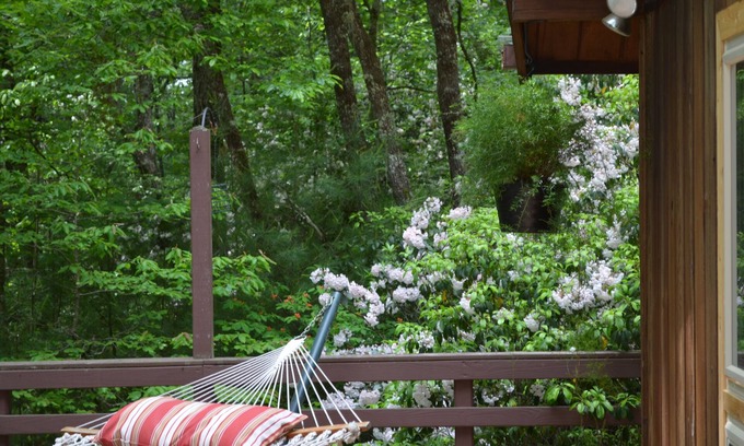Cedar Mountain Cabin | Lindal cedar home located next to Dupont State Recreational Forest.
