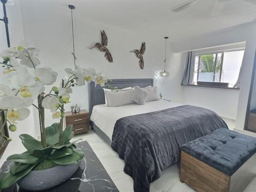 Colonia 10 De Abril Apartment | Lit King, Netflix & Piscine, Propre & Neuf
