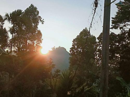 Ambagollapathana Bed & Breakfast | Littleadams View