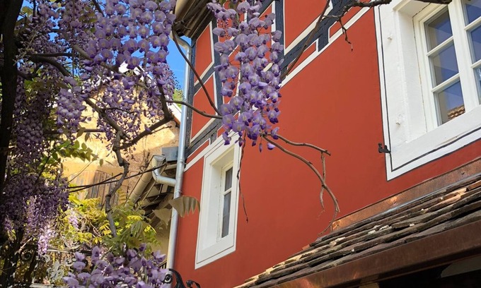 Neustadt-Haardt Apartment | Living in the Quetschekuchestubb