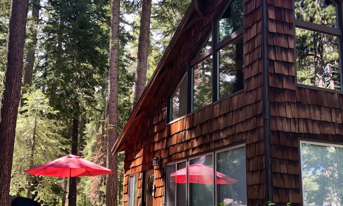 Sunnyside Cabin | LOCATION! - PETS - FAST WIFI - CLOSE TO SKI/BEACH - PELOTON BIKE!