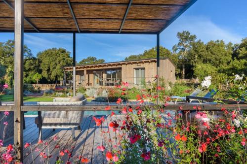 Lecci Villa | Lodge Les Oliviers Di Lecci
